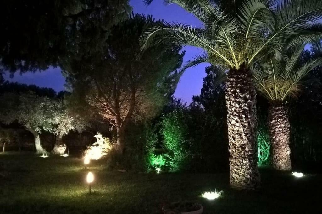 La Casetta Del Pettirosso Villa Conversano Exterior photo